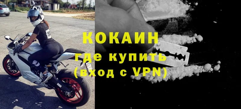 Cocaine FishScale  где найти   Костомукша 