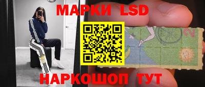 a pvp Гатчина