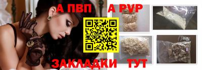 a pvp Гатчина
