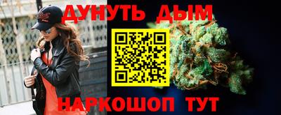 a pvp Гатчина
