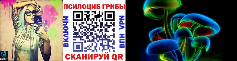 Псилоцибиновые грибы GOLDEN TEACHER  Костомукша 