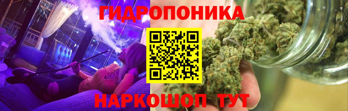 Каннабис план  Вход с VPN  Конопля SATIVA & INDICA  Костомукша 